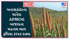 બનાસકાંઠાના ધાનેરા APMCમાં બાજરાના મહત્તમ ભાવ રૂપિયા 3745 રહ્યા બનાસકાંઠાના ધાનેરા APMCમાં બાજરાના મહત્તમ ભાવ રૂપિયા 3745 રહ્યા