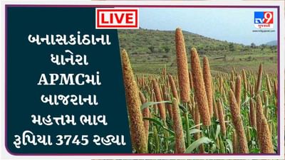 બનાસકાંઠાના ધાનેરા APMCમાં બાજરાના મહત્તમ ભાવ રૂપિયા 3745 રહ્યા, જાણો જુદા-જુદા પાકના ભાવ બનાસકાંઠાના ધાનેરા APMCમાં બાજરાના મહત્તમ ભાવ રૂપિયા 3745 રહ્યા, જાણો જુદા-જુદા પાકના ભાવ