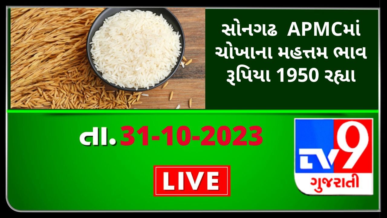 Mandi : તાપીની સોનગઢ  APMCમાં ચોખાના મહત્તમ ભાવ રૂપિયા 1950 રહ્યા, જાણો જુદા-જુદા પાકના ભાવ