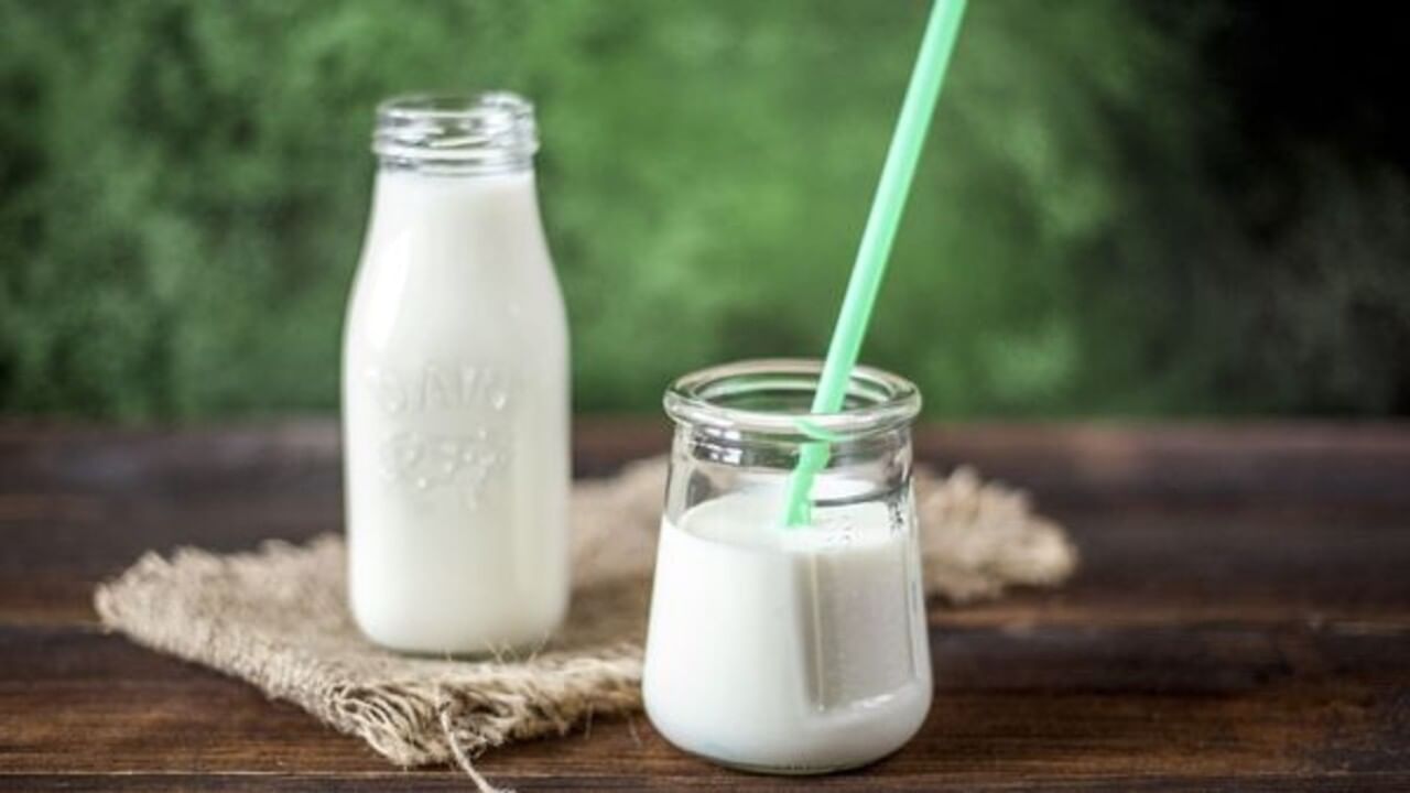 Advantages and Disadvantages of Drinking Boiled Milk (4)