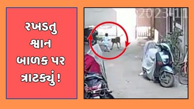 અમદાવાદ વીડિયો : શ્વાનનો આતંક યથાવત ! જુહાપુરાના ફતેવાડીમાં બાળક પર રખડતા શ્વાને કર્યો હુમલો