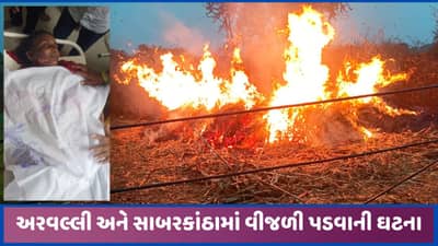 વીજળી પડવાની 4 ઘટના નોંધાઈ, ઈડરમાં મહિલાનુ મૃત્યુ, મોડાસામાં 16 પશુના મોત