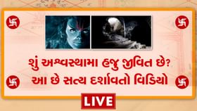 શું અશ્વસ્થામા નર્મદા પરિક્રમાવાસીઓને રસ્તામાં મળે છે? જુઓ વીડિયો શું અશ્વસ્થામા નર્મદા પરિક્રમાવાસીઓને રસ્તામાં મળે છે? જુઓ વીડિયો