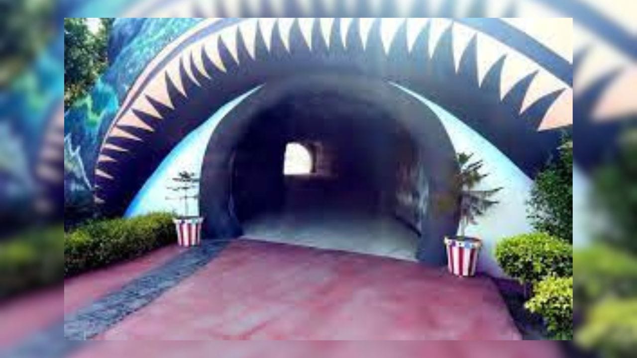 મીડિયા રિપોર્ટ્સ અનુસાર આ ગુફામાં આવવાનો કોડ વર્ડ હતો. બાબા પોતાની ગુફામાં જે મહિલાઓ સાથે અશ્લીલ હરકતો કરતો હતો, તેને ગુરમીત રામ રહીમ તરફથી મળેલી 'ક્ષમા' કહેવામાં આવતી.
