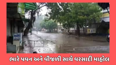 ભાવનગર વીડિયો : પંથકમાં ગાજવીજ સાથે વરસ્યો વરસાદ, ઊભા પાકમાં રોગચાળો થવાની ભીતિ, જુઓ વીડિયો