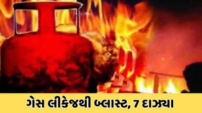 સુરતઃ સચિન વિસ્તારમાં ગેસ લીકેજથી આગ લાગતા 7 લોકો દાઝયા, જુઓ વીડિયો