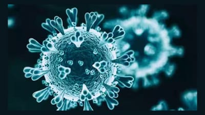 શું ચીનનો આ ખતરનાક વાયરસ ભારત આવશે ? જાણો આ બીમારી સાથે જોડાયેલીએ તમામ વિગત કે જે તમે જાણવા માગો છો