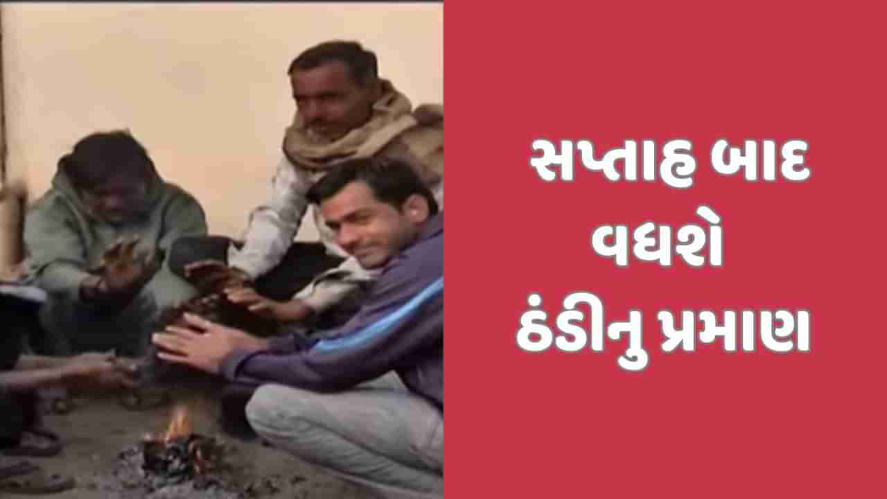 રાજ્યમાં ઠંડીનો ચમકારો વધ્યો, હજુ વધશે પ્રમાણ, 5 દિવસ બાદ વરસાદની આગાહી