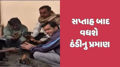 રાજ્યમાં ઠંડીનો ચમકારો વધ્યો, હજુ વધશે પ્રમાણ, 5 દિવસ બાદ વરસાદની આગાહી