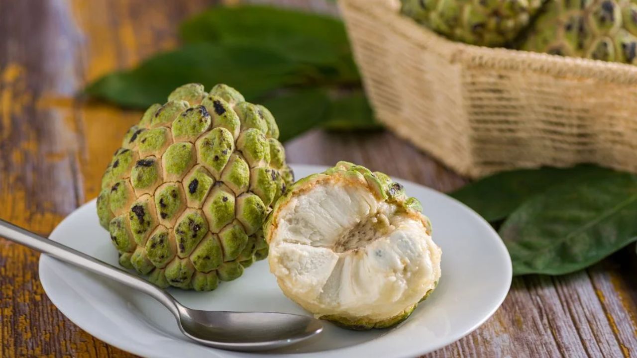 સીતાફળ સારી માત્રામાં આયર્ન હોય છે.આ શરીરમાં લોહીની ઉણપને દૂર કરવામાં મદદ કરે છે. જો તમને નબળાઈની સમસ્યા હોય તો રોજ કસ્ટર્ડ એપલ ખાઓ. તમે કસ્ટર્ડ એપલને જેમ છે તેમ અથવા સ્મૂધી અને શેક બનાવીને પી શકાય છે. 