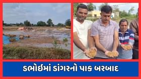 મધ્ય ગુજરાતમાં મુસીબતનું માવઠું ! મધ્ય ગુજરાતમાં મુસીબતનું માવઠું !