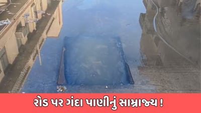 દેવભૂમિ દ્વારકા વીડિયો : દ્વારકાના અનેક વિસ્તારોમાં ગટરનું સામ્રાજ્ય, પાલિકા તંત્ર નિષ્ક્રિય, જનતામાં આક્રોશ