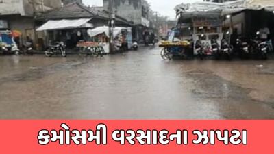 દેવભૂમિ દ્વારકા : કલ્યાણપુર પંથકમા વરસાદી માહોલ, કમોસમી વરસાદ પડતા ખેડૂતો ચિંતામાં, જુઓ વીડિયો