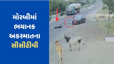 મોરબીમાં બાઈક અને કાર વચ્ચે ભયાનક અકસ્માતમાં વૃદ્ધનું મોત, જુઓ સીસીટીવી મોરબીમાં બાઈક અને કાર વચ્ચે ભયાનક અકસ્માતમાં વૃદ્ધનું મોત, જુઓ સીસીટીવી