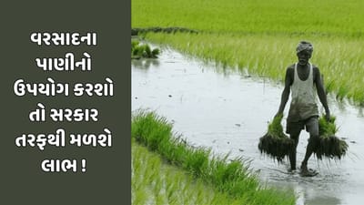 ગાંધીનગર વીડિયો : રાજ્ય સરકારનો ખેડૂત માટે મહત્વનો નિર્ણય, સરફેસ વોટરનો ઉપયોગ કરનાર ખેડૂતને મળશે વધુ એક વીજ જોડાણ
