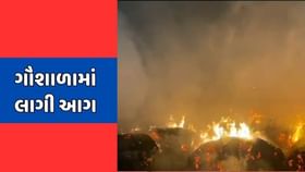 કચ્છ : રાપરના ગાગોદર ગામે ગૌશાળામાં લાગી આગ કચ્છ : રાપરના ગાગોદર ગામે ગૌશાળામાં લાગી આગ