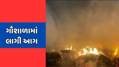 કચ્છ : રાપરના ગાગોદર ગામે ગૌશાળામાં લાગી આગ, ઘાસચારો બળીને ખાખ, જુઓ વીડિયો