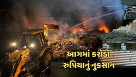 જમાલપુર નજીક લાઠીબજારમાં લાગેલી આગમાં કાબુમાં આવી જમાલપુર નજીક લાઠીબજારમાં લાગેલી આગમાં કાબુમાં આવી