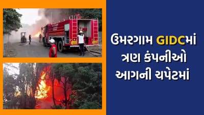 વલસાડ ઉમરગામ GIDCમાં આગ લાગવાની ઘટના, આસપાસની બે કંપની આગની ચપેટમાં, જુઓ વીડિયો
