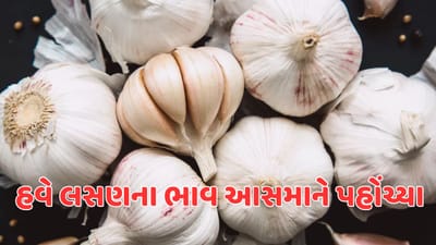 વીડિયો: લસણથી ભરપુર ચટાકેદાર ખાવાના શોખીનો સાવધાન, વધુ રૂપિયા ખર્ચવા તૈયાર રહેવુ પડશે