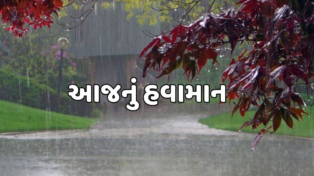 આજનું હવામાન : રાજ્યમાં કોલ્ડવેવની સાથે માવઠાની સંભાવના, જુઓ વીડિયો