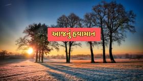 તમારા શહેરમાં કેવો રહેશે ઠંડીનો ચમકારો તમારા શહેરમાં કેવો રહેશે ઠંડીનો ચમકારો