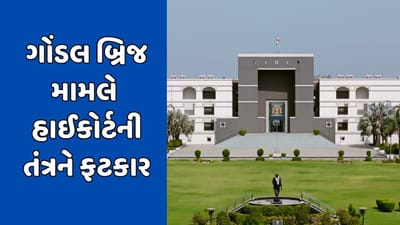 ગોંડલના ઐતિહાસિક બ્રિજ મામલે હાઈકોર્ટની તંત્રને ફટકાર, કહ્યું- અત્યાર સુધી કેમ હતા કુંભકર્ણની નિંદ્રામાં