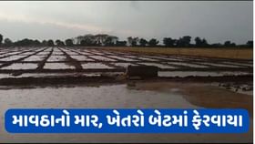 સુરેન્દ્રનગર જિલ્લામાં માવઠાનો માર, ખેતરો બેટમાં ફેરાવાયા સુરેન્દ્રનગર જિલ્લામાં માવઠાનો માર, ખેતરો બેટમાં ફેરાવાયા
