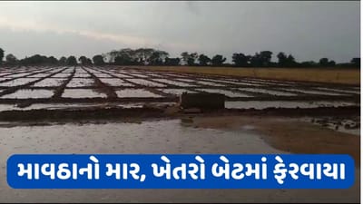 સુરેન્દ્રનગર જિલ્લામાં માવઠાનો માર, ખેતરો બેટમાં ફેરાવાયા