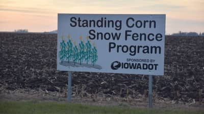 આયોવા: ખેડૂતો શિયાળામાં કુદરતી બરફની વાડ તૈયાર કરવા માટે DOTને કરી રહ્યા છે મદદ, ખેડૂતોને મળશે આર્થિક સહાય