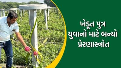 જામનગરમાં હડિયાણાના ખેડૂત પુત્રએ MBAની પદવી મેળવી અપનાવી ખેતી, કરે છે લાખોની આવક