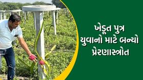 ખેડૂત પુત્ર યુવાનો માટે બન્યો પ્રેરણાસ્ત્રોત, અપનાવી ખેતીની રાહ ખેડૂત પુત્ર યુવાનો માટે બન્યો પ્રેરણાસ્ત્રોત, અપનાવી ખેતીની રાહ