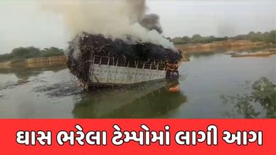 કચ્છ : ભચાઉના લલીયાણામાં ઘાસ ભરેલા ટેમ્પોમાં લાગી આગ, જુઓ વીડિયો કચ્છ : ભચાઉના લલીયાણામાં ઘાસ ભરેલા ટેમ્પોમાં લાગી આગ, જુઓ વીડિયો