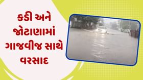 મહેસાણા: કડી અને જોટાણામાં ગાજવીજ સાથે વરસાદ, જુઓ વીડિયો મહેસાણા: કડી અને જોટાણામાં ગાજવીજ સાથે વરસાદ, જુઓ વીડિયો