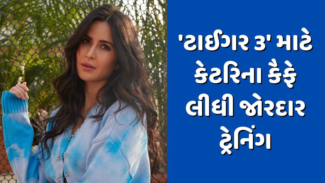 'ટાઈગર 3' માટે ખતરનાક ટ્રેનિંગ સેશનમાંથી પસાર થઈ હતી કેટરિના કૈફ, જુઓ વીડિયો