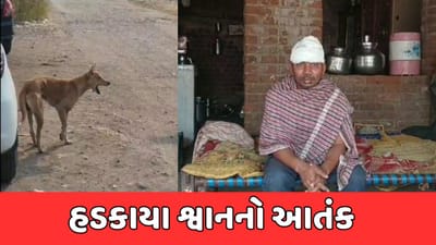 ખેડા: વડોલ ગામે હડકાયા શ્વાનનો આતંક, 40થી વધુ લોકોને ભર્યા બચકાં