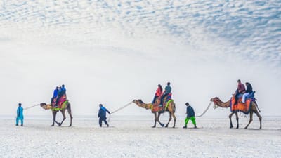 ગુજરાતના કચ્છનું સફેદ રણ ભારતના ફેમસ ટુરિસ્ટ પ્લેસમાંથી એક છે. દર વર્ષે લાખો પ્રવાસીઓ અહીં ફરવા માટે આવે છે. IRCTC પ્રવાસીઓ માટે ગુજરાતના સફેદ રણનું ટુર પેકેજ લાવ્યું છે. આ પેકેજનું નામ છે Poornima Pe Rann-White Rann Resorts.