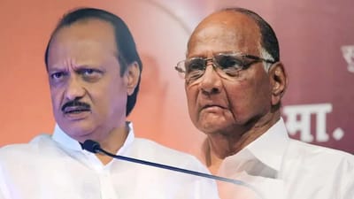 મહારાષ્ટ્ર ગ્રામ પંચાયતની ચૂંટણીમાં ભત્રીજાએ કાકાને હરાવ્યા, ઉદ્ધવ શિંદેથી પણ પાછળ....ભાજપ નંબર વન