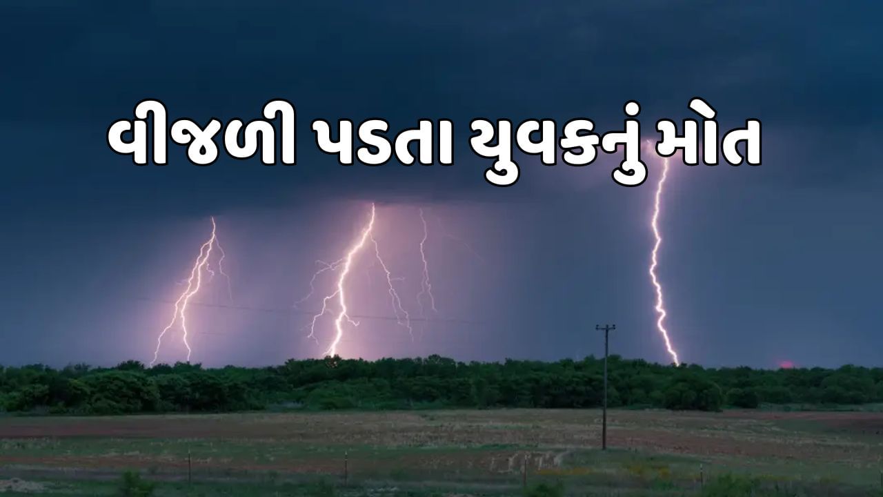 મહેસાણા  : કડી પંથકમાં ગાજવીજ સાથે વરસાદ, વીજળી પડતા એક યુવક અને 3 પશુના મોત