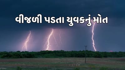 મહેસાણા  : કડી પંથકમાં ગાજવીજ સાથે વરસાદ, વીજળી પડતા એક યુવક અને 3 પશુના મોત