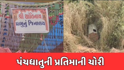 મહીસાગર : લુણાવાડાની માધવ રેસીડેન્સીમાં ચોરી, પંચધાતુની પ્રતિમા ચોરાઈ