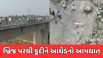 મહીસાગર : લુણાવાડામાં આધેડનો અગમ્ય કારણોસર આપઘાત, બ્રિજ પરથી કૂદીને જીવન ટૂંકાવ્યું
