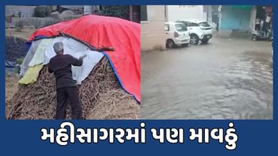 મહીસાગર જિલ્લામાં પણ ખાબક્યો વરસાદ, શિયાળુ પાકને નુકસાન થવાની ખેડૂતોને ભીતિ મહીસાગર જિલ્લામાં પણ ખાબક્યો વરસાદ, શિયાળુ પાકને નુકસાન થવાની ખેડૂતોને ભીતિ