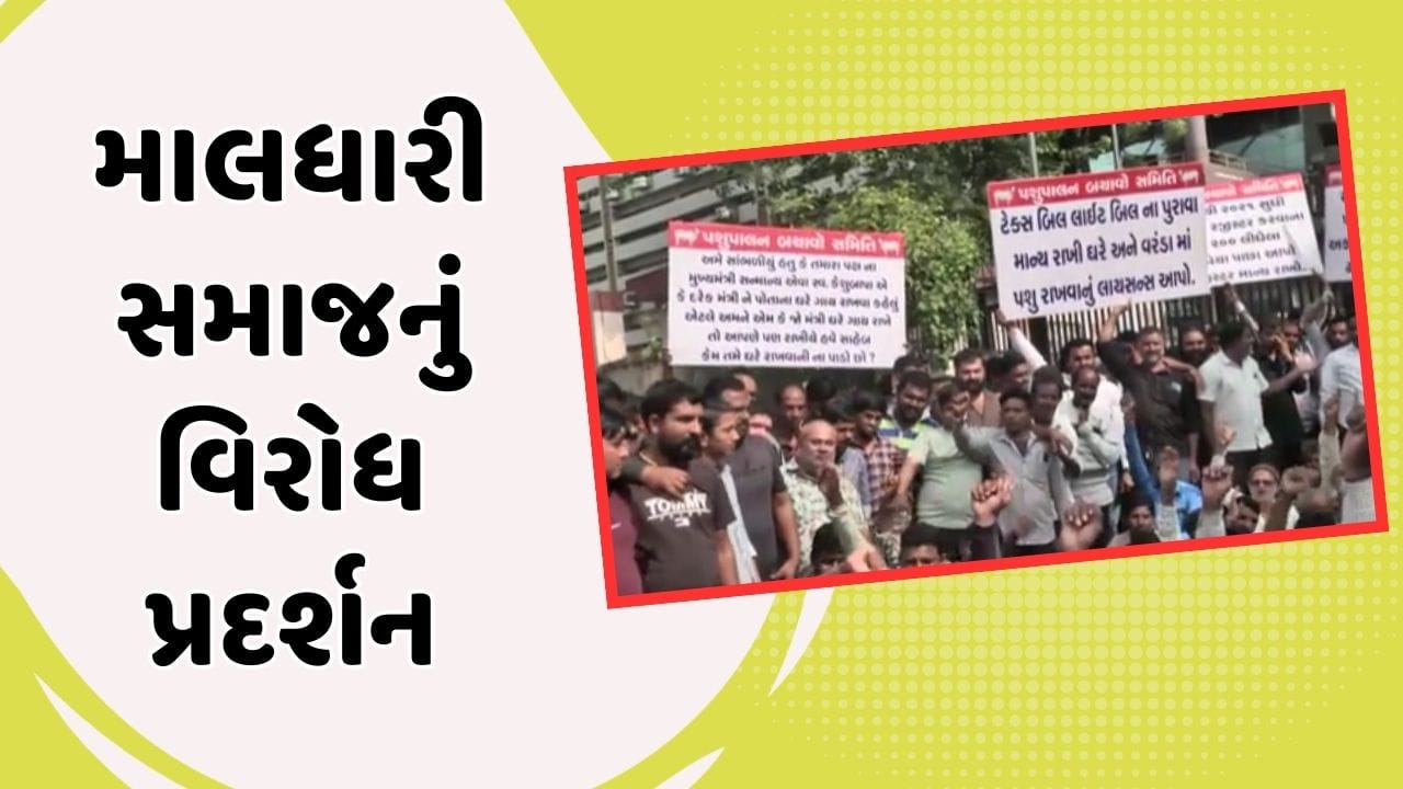 અમદાવાદઃ માલધારી સમાજે AMCનો કર્યો ઘેરાવ, રખડતા પશુઓના નામે કરાતી કામગીરી સામે વ્યક્ત કર્યો રોષ, જુઓ વીડિયો અમદાવાદઃ માલધારી સમાજે AMCનો કર્યો ઘેરાવ, રખડતા પશુઓના નામે કરાતી કામગીરી સામે વ્યક્ત કર્યો રોષ, જુઓ વીડિયો