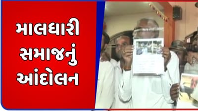 વીડિયો : ગુજરાતના માલધારીઓ આકરાપાણીએ, ગૌચર જમીન પચાવી પાડનારાઓ સામે વિરોધ દર્શાવવા શરુ કર્યુ આંદોલન