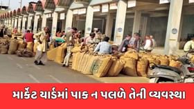 વરસાદની આગાહીના પગલે ગુજરાતના માર્કેટ યાર્ડોમાં તકેદારીના પગલા વરસાદની આગાહીના પગલે ગુજરાતના માર્કેટ યાર્ડોમાં તકેદારીના પગલા