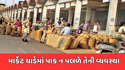 વરસાદની આગાહીના પગલે ગુજરાતના માર્કેટ યાર્ડોમાં તકેદારીના પગલા, કૃષિ પેદાશો પલળે નહીં તેની વ્યવસ્થા કરાઇ, જુઓ વીડિયો