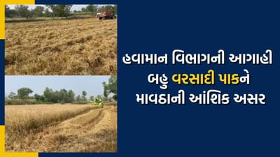 હવામાન વિભાગની માવઠાની આગાહી, શાકભાજી અને ફળ ઉત્પાદન પર અસર થવાની શક્યતા, જુઓ વીડિયો હવામાન વિભાગની માવઠાની આગાહી, શાકભાજી અને ફળ ઉત્પાદન પર અસર થવાની શક્યતા, જુઓ વીડિયો