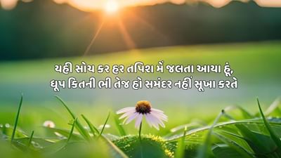 મોટિવેશનલ શાયરી : બાજુઓ કે જોર પર તો કોઈ ભી હકુમત કર લે, જો સબકે દિલ પે છા જાએ ઉસે ઈંસાન કહતે હૈ - જેવી શાયરી વાંચો