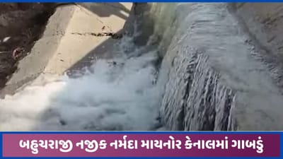 બહુચરાજી નજીક નવી બનેલ નર્મદા કેનાલમાં 10 દિવસમાં જ ગાબડું પડ્યુ, આસપાસના ખેતરોમાં પાણી ભરાયા બહુચરાજી નજીક નવી બનેલ નર્મદા કેનાલમાં 10 દિવસમાં જ ગાબડું પડ્યુ, આસપાસના ખેતરોમાં પાણી ભરાયા